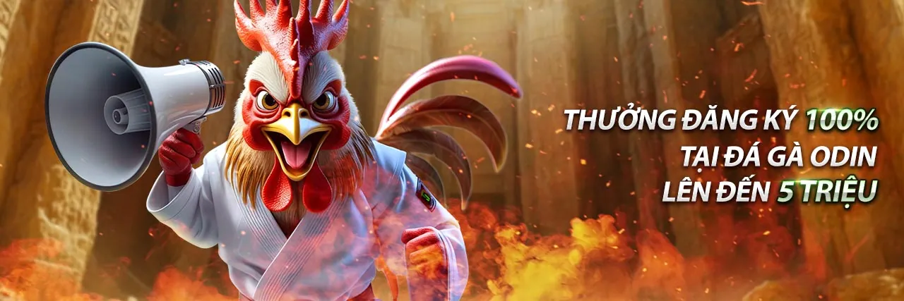 Thưởng nạp lại casino